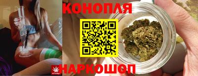 jwh Кимры